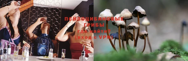 ГАЛЛЮЦИНОГЕННЫЕ ГРИБЫ Верея