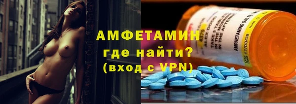 ГАЛЛЮЦИНОГЕННЫЕ ГРИБЫ Верея