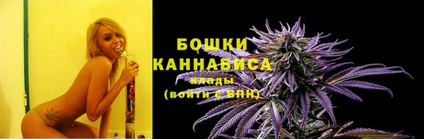ГАЛЛЮЦИНОГЕННЫЕ ГРИБЫ Верея