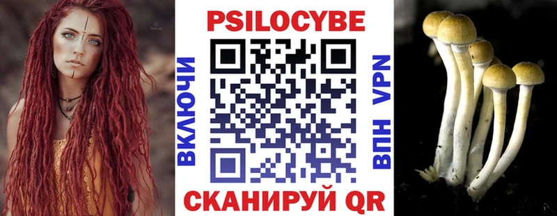 Галлюциногенные грибы Magic Shrooms  Снежинск 